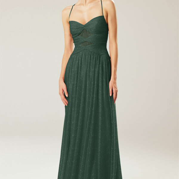 sleeveless glitter mesh dress with a sweetheart neckline. Ladies who enjoy a floor-length gown with a gorgeo