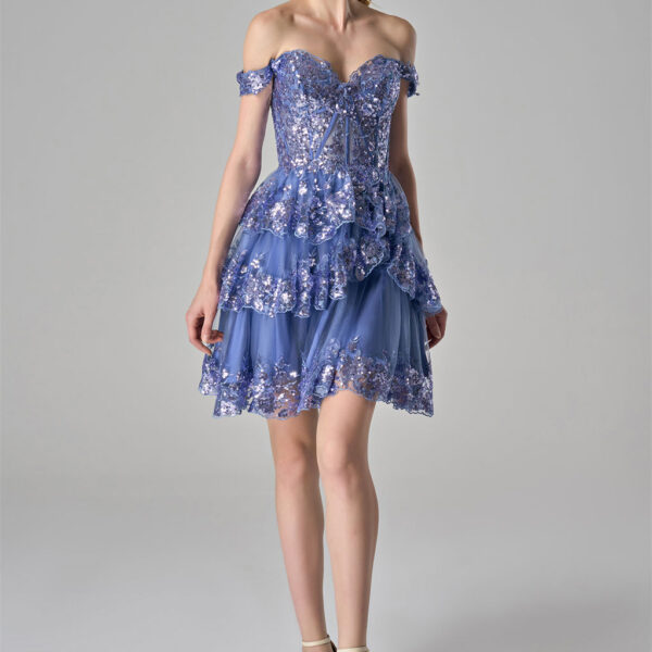 lace-embroidered bodice. The tiered tulle skirt is adorned with intricate lace appliquu00e9s