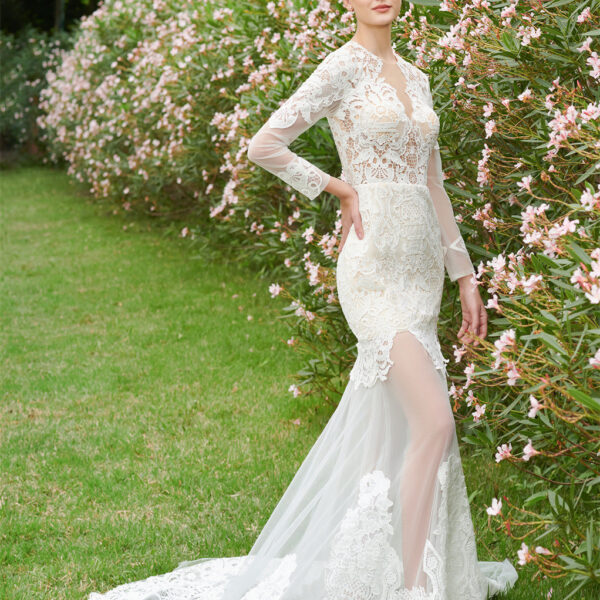 see-through jewel neckline bodice with long
