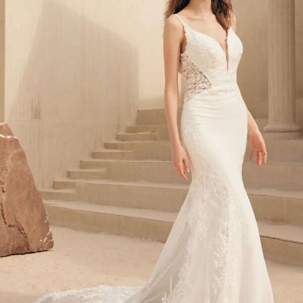 The AW Apiacere wedding dress is a prime and true-to-form bridal dress specially designed with tulle fabric. This dress is for a bride who desires to own her ceremony in a floor-length elegant wedding dress. AW Apiacere has a sweetheart-shaped neckline cu