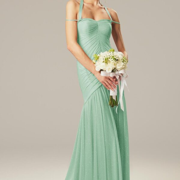 The AW Inorganic dress is designed from top-quality glitter mesh fabric. This stunning sleeveless floor-length dress has a sweetheart neckline and a built-in bra which brings comfort and a charming outlook. It accentuates every figure courtesy of its merm